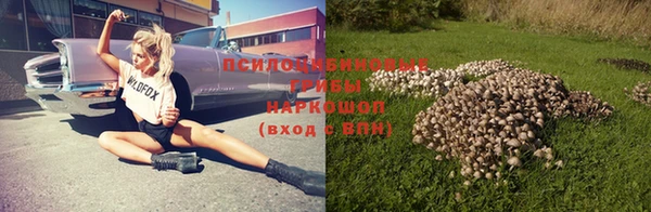 соль курить ск Вяземский