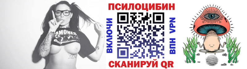 Псилоцибиновые грибы MAGIC MUSHROOMS  Купить где  Кольчугино 