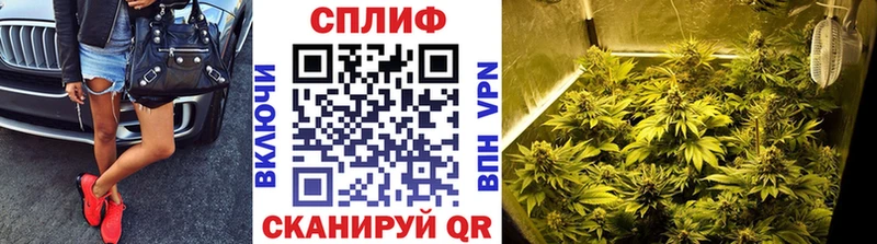 Каннабис MAZAR  Купить закладки  Кольчугино 